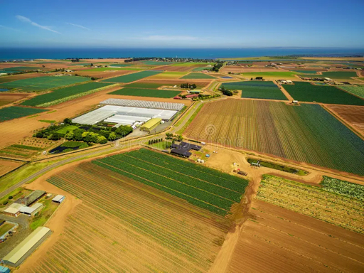Agricultural drone spraying crops in a field